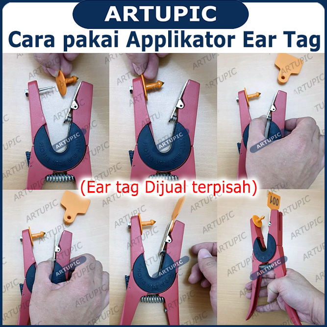 Cara memasang applikator ear tag