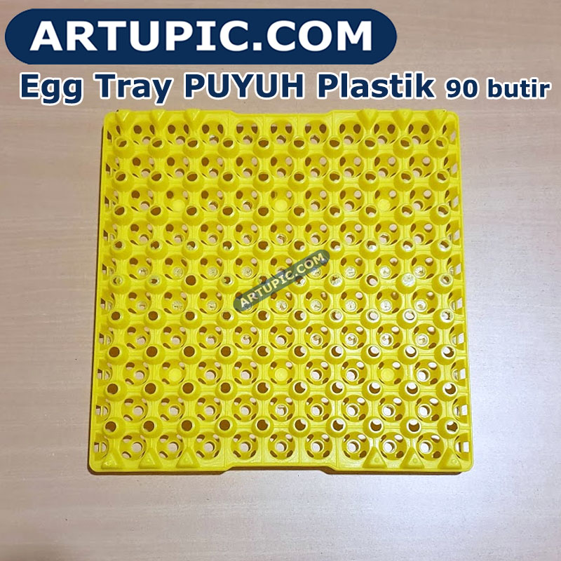 Egg tray telur puyuh