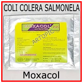 Moxacol Plus 100 gram Antibakteri