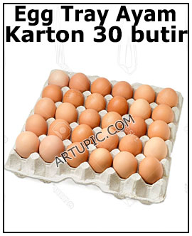 Egg tray ayam karton 