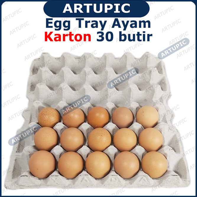 Egg tray ayam karton