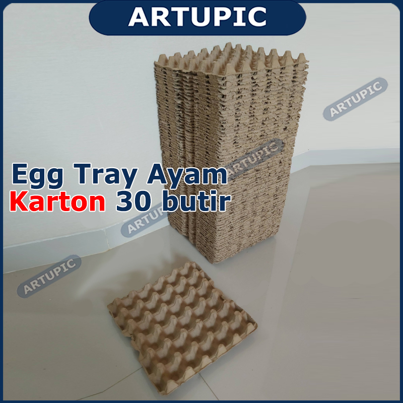 Egg tray ayam karton